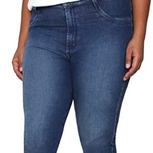 NEW PLUS SIZE 28 JAMES JEANS HIGH RISE SKINNY #229